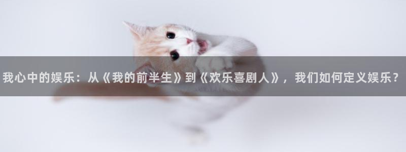 琳琅娱乐注册：我心中的娱乐：从《我的前半生》到《欢乐喜剧人》，我们如何定义娱乐？