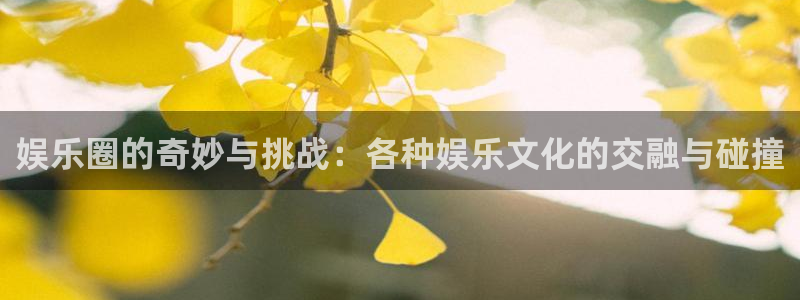 琳琅娱乐注册：娱乐圈的奇妙与挑战：各种娱乐文化的交融与碰撞