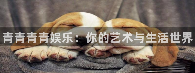琳琅娱乐注册：青青青青娱乐：你的艺术与生活世界