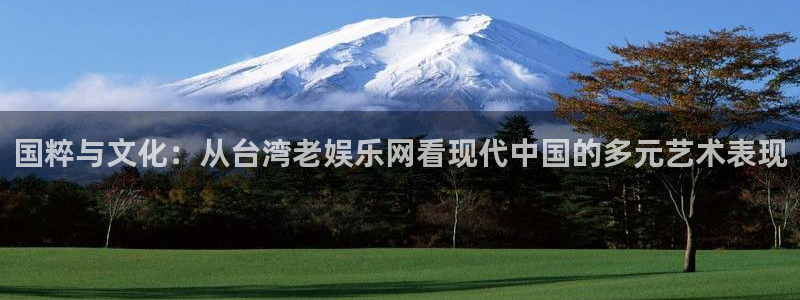 琳琅娱乐：国粹与文化：从台湾老娱乐网看现代中国的多元艺术表现