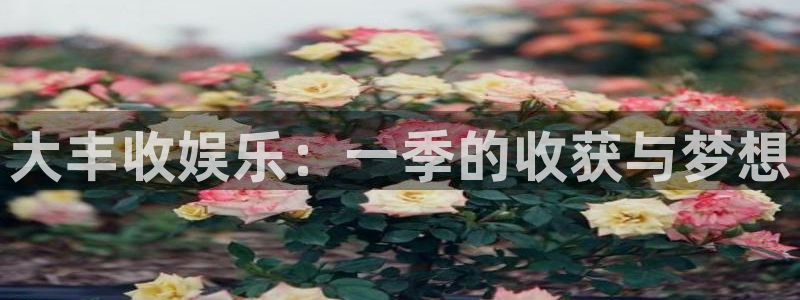 琳琅娱乐：大丰收娱乐：一季的收获与梦想